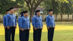 BKN Pastikan Honorer Dihapus 2026, Prioritaskan PPPK Penuh dan Paruh Waktu