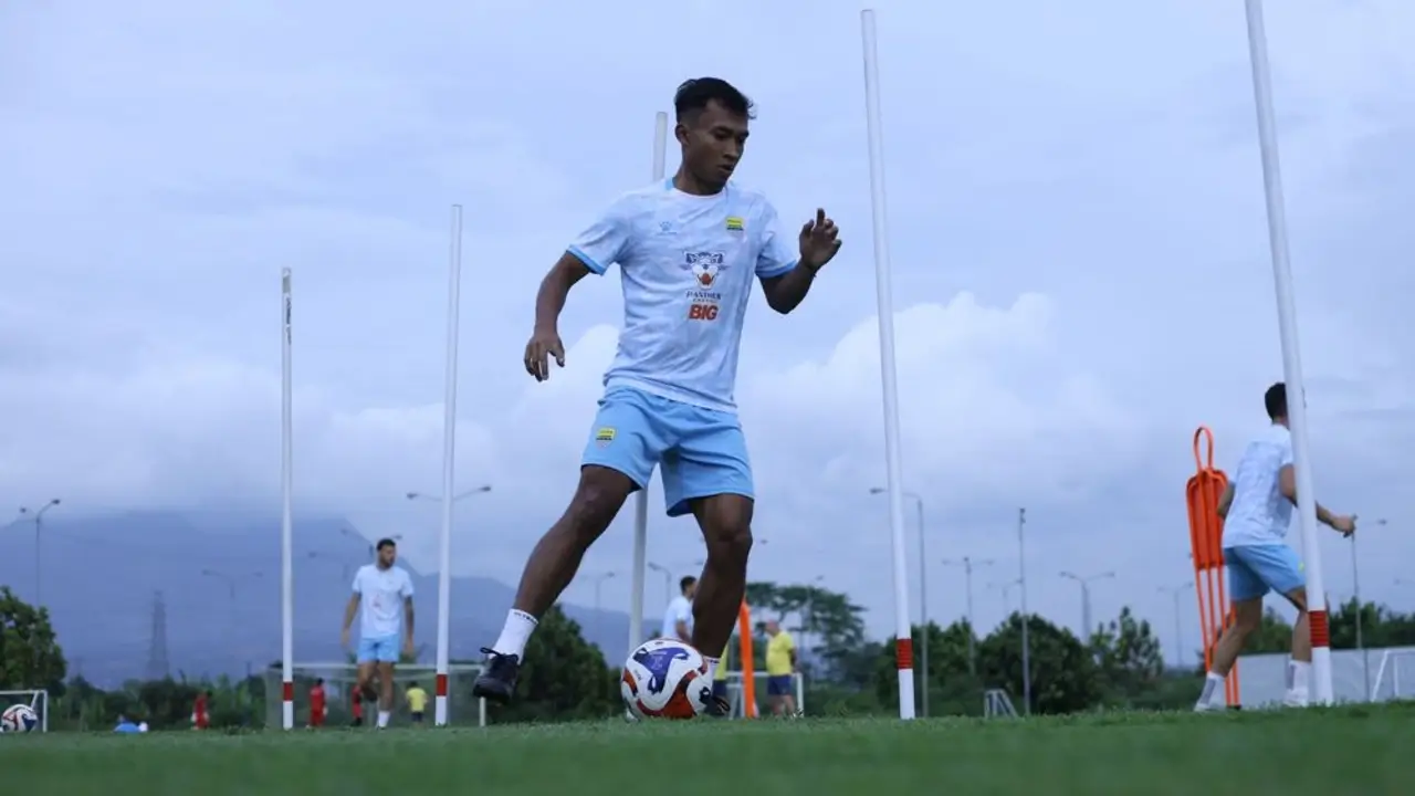 Robi Darwis Persib Bandung