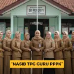 Nasib TPG Guru PPPK: Pembayaran Bulanan Dimulai, Data Jadi Kunci