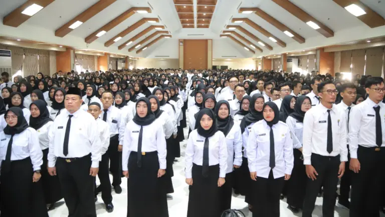 PPPK Jadi PNS: Membedah Peluang dan Realita di Bawah UU ASN 2023 PPPK Jadi PNS: Membedah Peluang dan Realita di Bawah UU ASN 2023