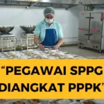 Pegawai SPPG Jadi PPPK: Proses Dimulai Kapan? Simak Disini